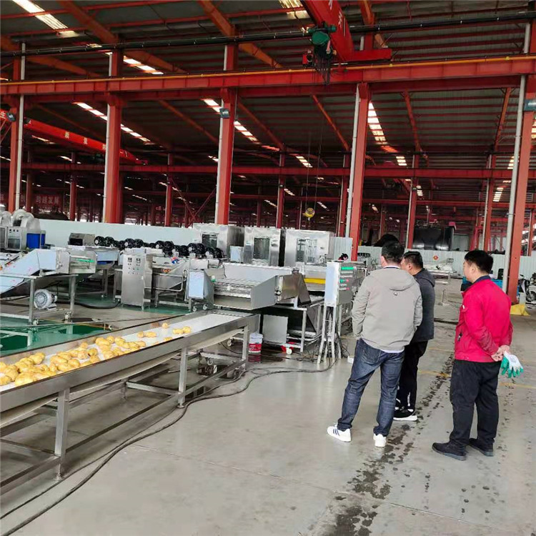 美康西红柿清洗机可出口 蔬菜无损清洗流水线 菜椒清洗机价格