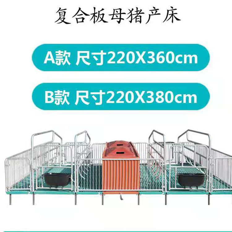 母猪产保一体分娩床仔猪分娩床单体产床猪用猪分娩床养猪场设备