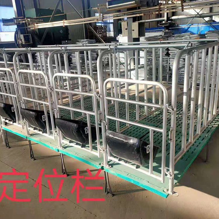 厂家出售 镀锌母猪定位栏 母猪限位栏 落地式热镀锌限位栏 欢迎来电订购