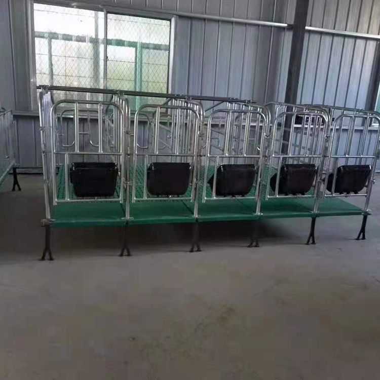 现货销售 复合定位栏 限位栏 落地式肥猪用定为栏养猪设备