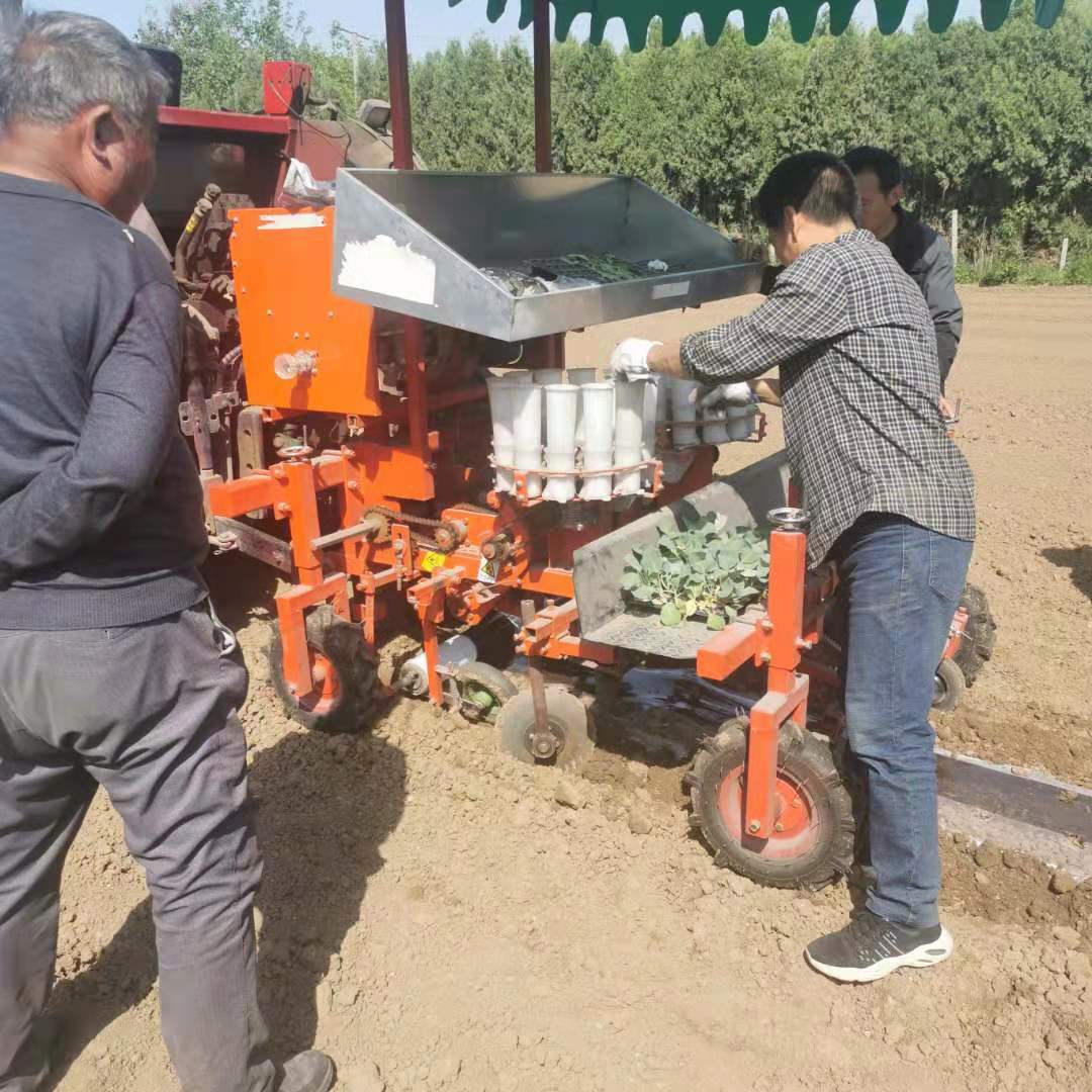 助农多功能移栽机 蔬菜移栽机出售 辣椒苗移栽机