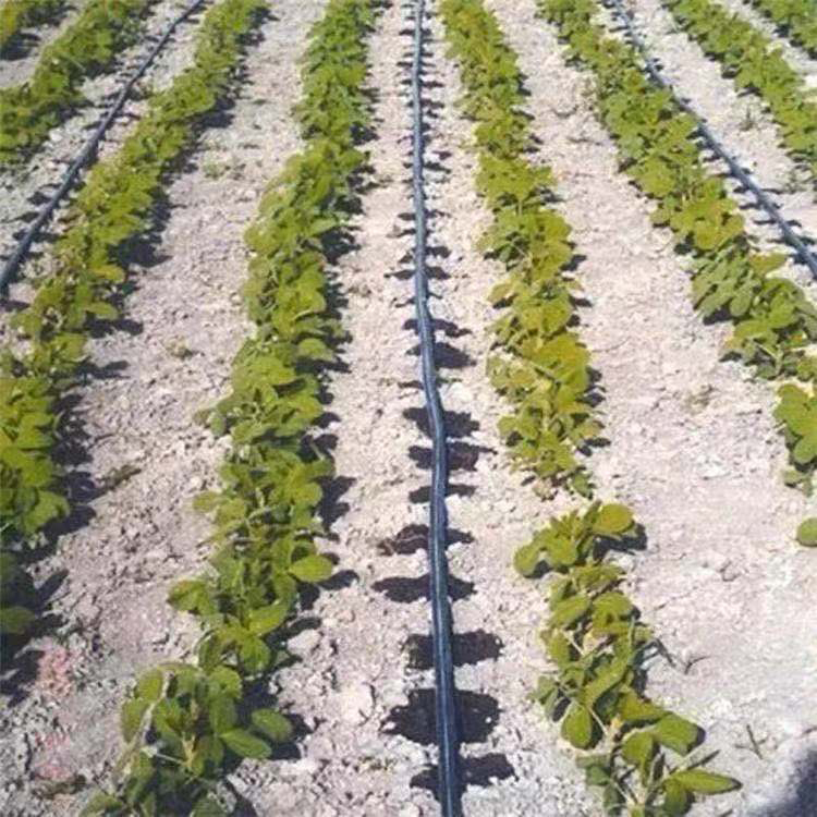 厂家出售 灌溉水带 农用灌溉水管带 可定制 各种型号 迷宫式滴灌带