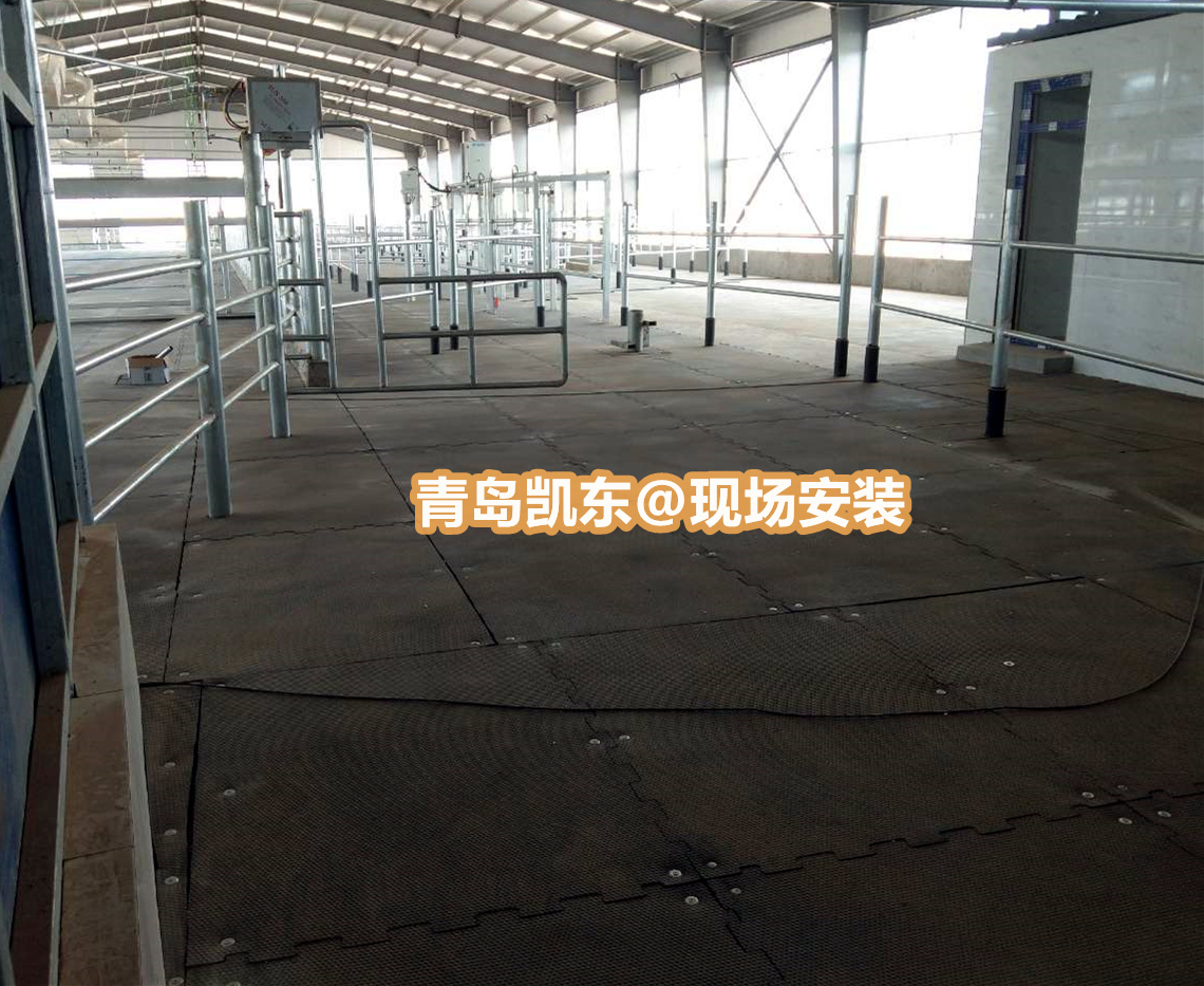 高耐磨牛棚垫  欧标好品质牛舍垫 防滑橡胶牛棚垫 奶厅现场安装牛棚垫