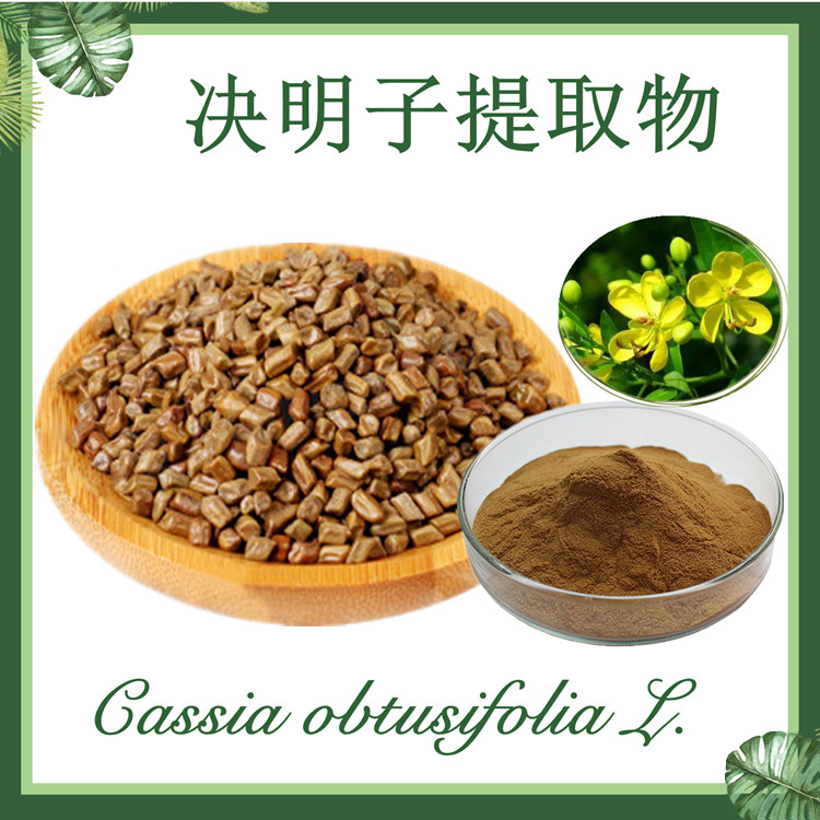 决明子Cassia obtusifolia L 提取物10:1  草决明提取物