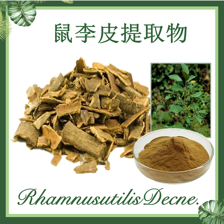 鼠李皮提取物10:1 冻绿皮提取物 现货供应
