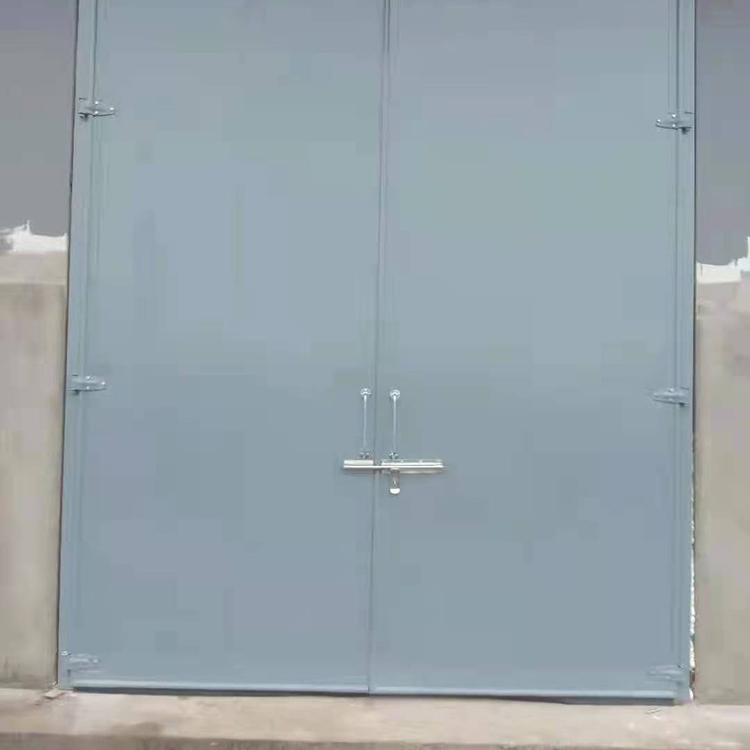 厂家出售 防火门 钢制耐火门 楼宇楼道防火门 价格称心