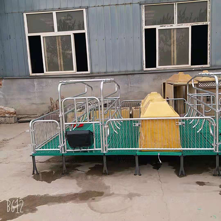 厂家供应 产保一体两用床 猪用产床 复合板母猪产床 价格优惠
