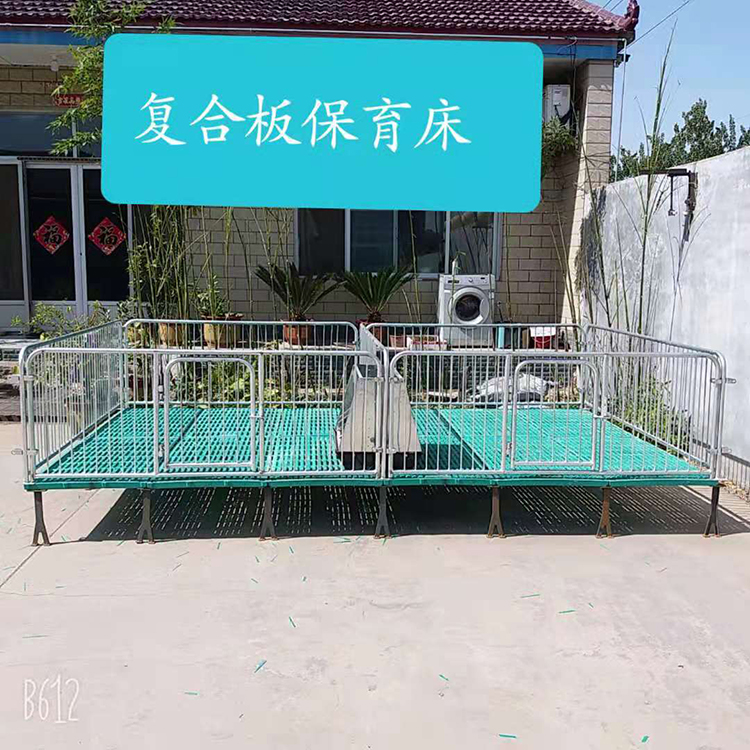 全复合漏粪板仔猪保育床 复合板母猪定位栏 仔猪复合板保育床 欢迎来电