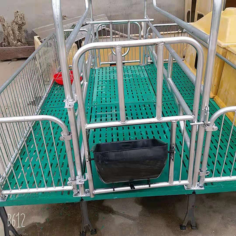 母猪产床保育床一体复合两用大猪用限位栏复合漏粪板养猪设备