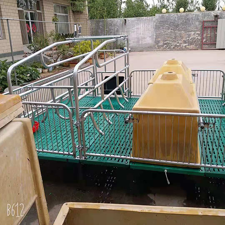 母猪产床保育床 一体复合两用大猪用分娩床猪用单双体产床