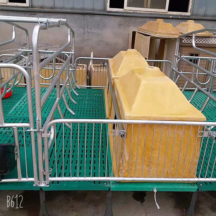   厂家出售双体母猪产床分娩床母猪限位栏保育栏加厚母猪产床