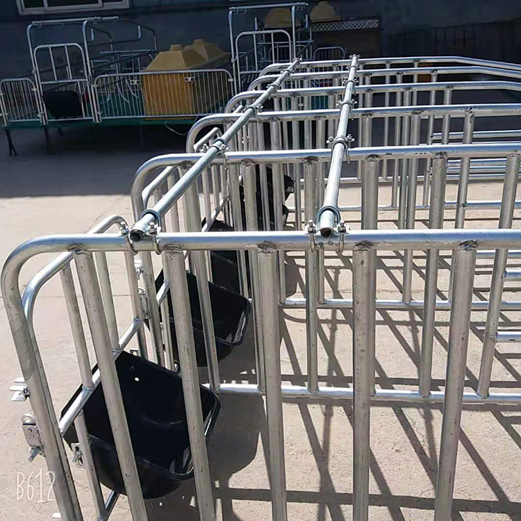 母猪限位栏 复合漏粪板 猪用落地式复合加厚定为栏养殖设备