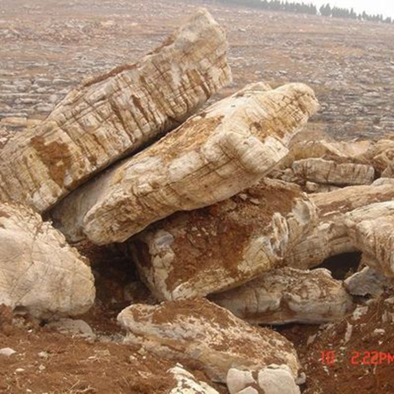千层石龟纹石产地批发 万吨园林石景观石 草坪石黑山石