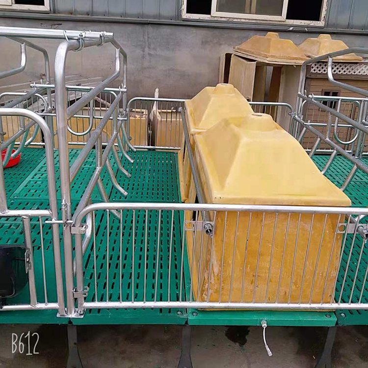 现货出售 复合保育产床 养殖母猪产床 严格选材