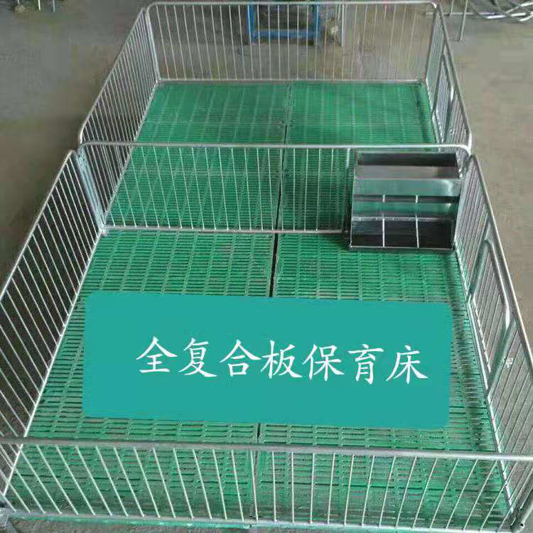 复合仔猪保育床 小猪保育床 养殖保育床 质量放心