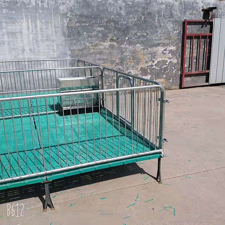 母猪产保一体分娩床 全复合母猪分娩床 全复合仔猪保育床 产地货源