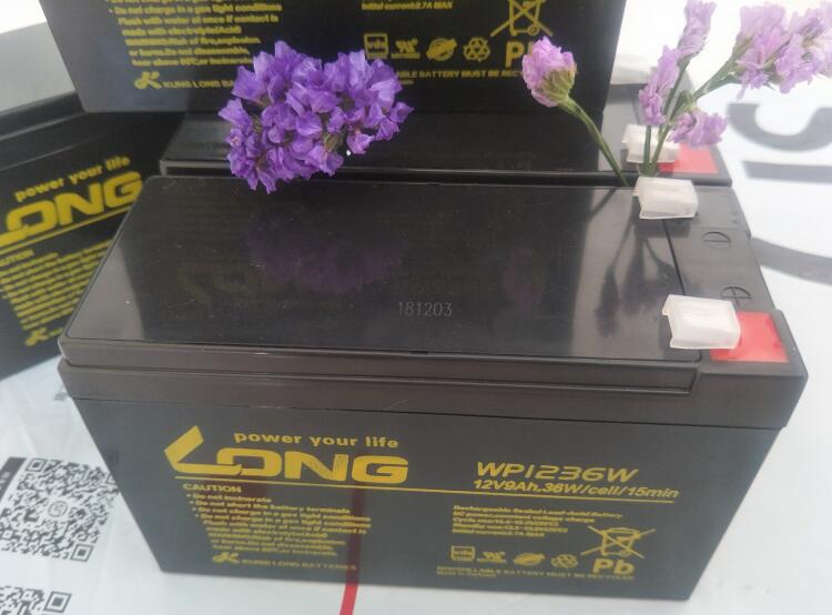LONG广隆蓄电池WP1236W 12V36W铅酸蓄电池/原装现货计算机系统路灯