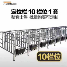 河北供应 猪舍限位栏 猪舍定位栏 自动化养猪设备 价格称心