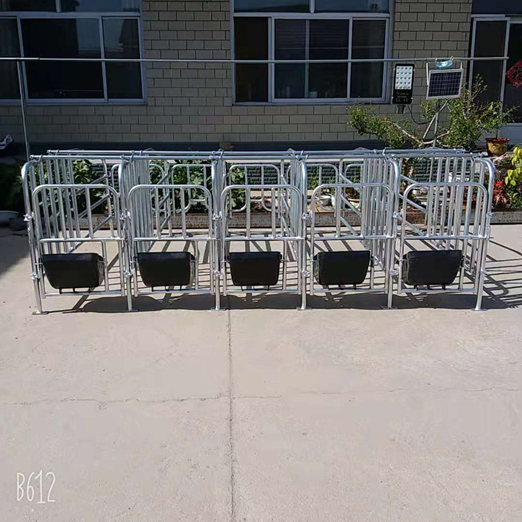 母猪限位栏产床热镀锌全复合板母猪限位栏落地式猪用定位栏
