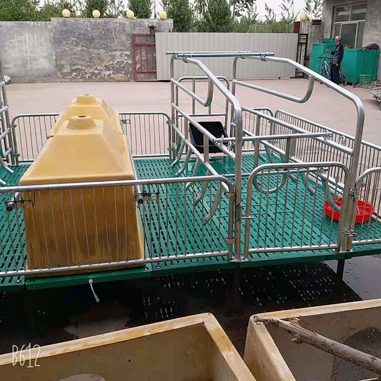 育肥保育床 全复合保育设备 母猪产床保育床 欢迎来电咨询