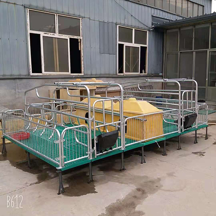 母猪产床 全复合双体产床 猪用产床保育一体养猪设备 河北供应