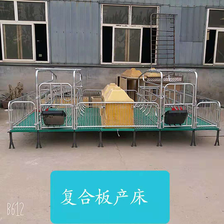 热镀锌加厚产保一体两用养猪设备 单双体复合板母猪产床 福道出售