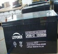乐珀尔（LOTPOWER）蓄电池LP200-12 12V200AH 太阳能UPS电源专用