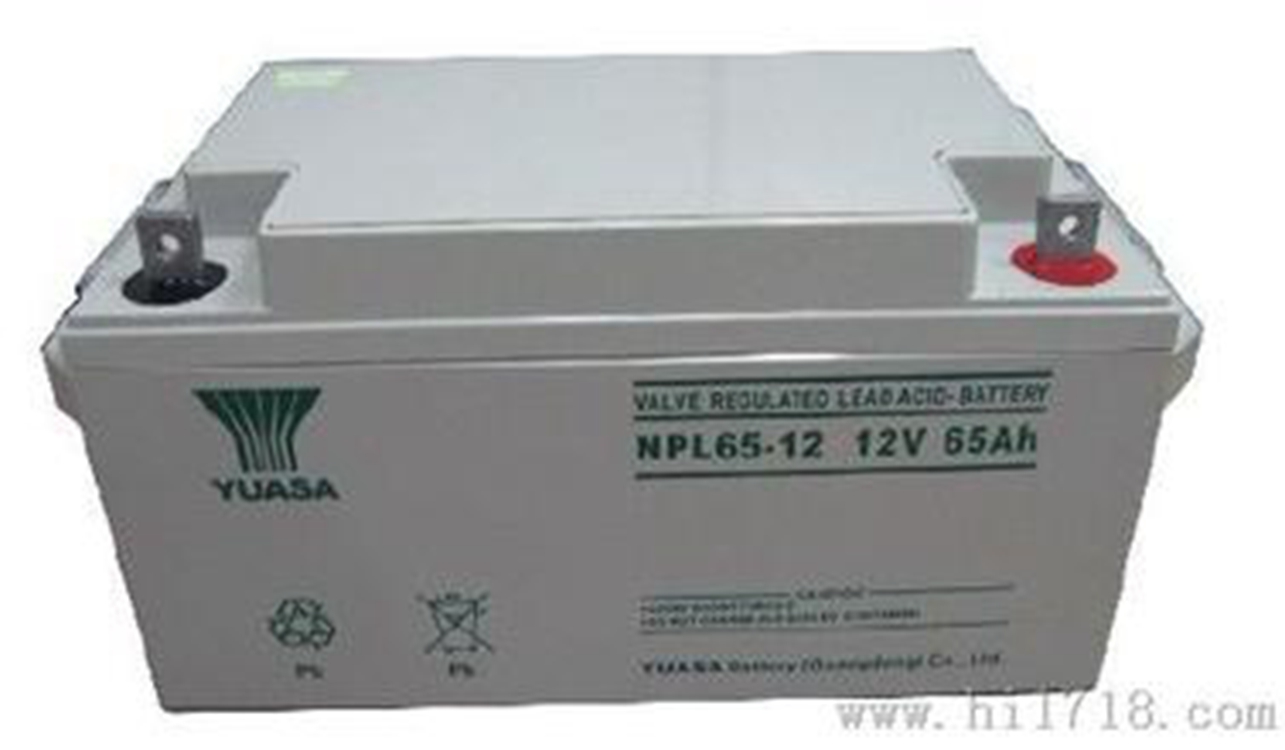 YUASA汤浅蓄电池NP65-12 UPS/EPS专用12V65AH原装正品 航海航空 通信设备