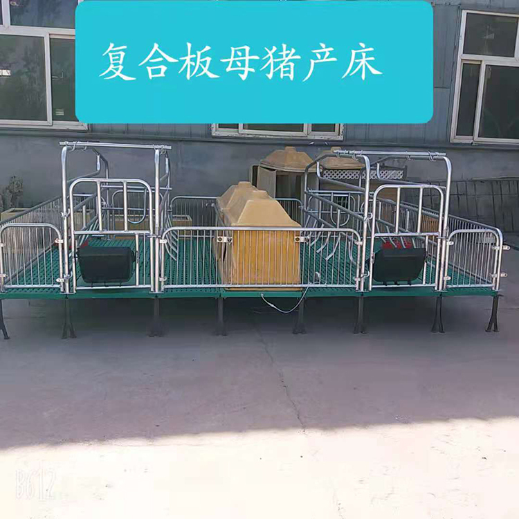 双体母猪产床保育两用分娩床限位栏定位栏 复合母猪产床 价格称心