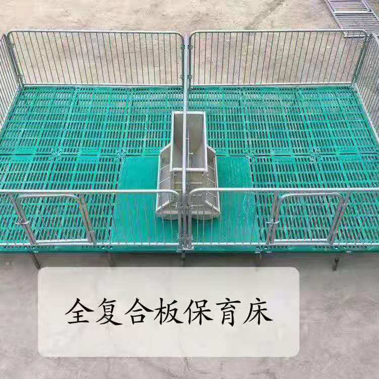 仔猪用保育床母猪产床定为栏加厚小猪保育床复合板仔猪保育床围栏