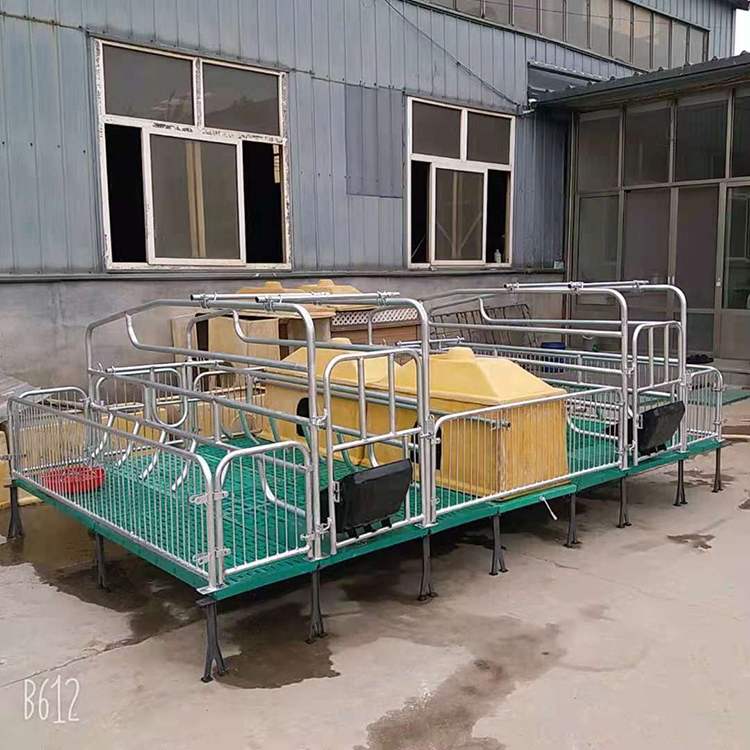 双体母猪产床保育两用分娩床限位栏定位栏 猪用产床设备 价格合理 质量放心