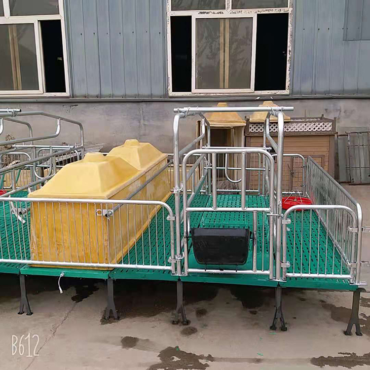 现货销售 猪用产保一体床 复合双体母猪产床 产保一体床 可加工定制