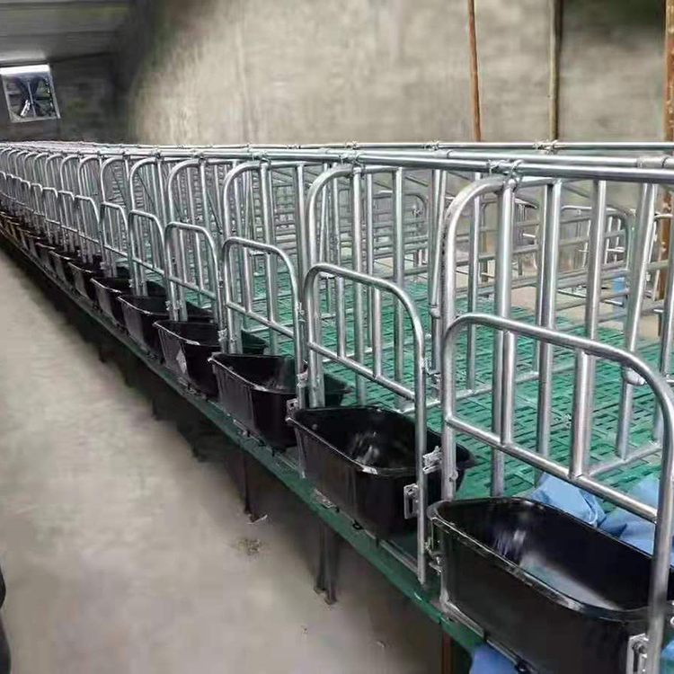 育肥用圆钢定位栏 猪舍限位栏 母猪定位栏 来电报价