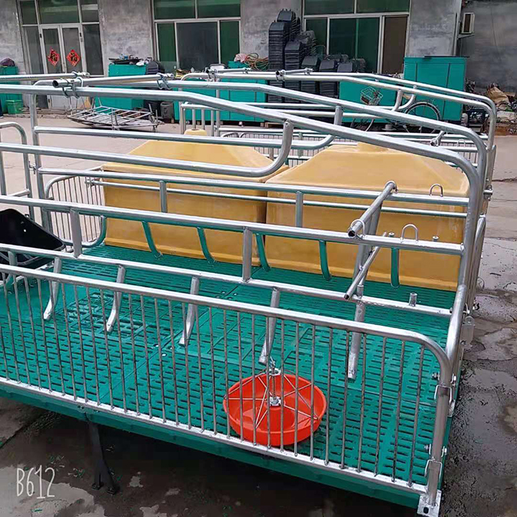 河北出售 猪用产保一体床 母猪产床 产保一体床 欢迎来电咨询