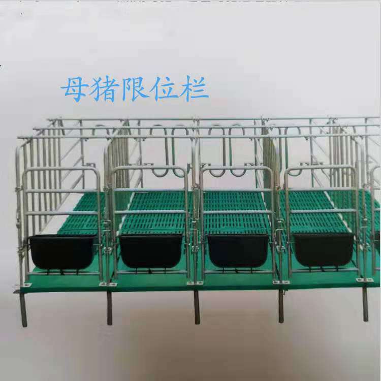 母猪定位栏带漏粪板10猪位热镀锌钢管猪用母猪为落地式限位栏