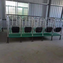 河北发货 育肥用圆钢定位栏 猪舍限位栏 猪舍定位栏 欢迎来电咨询