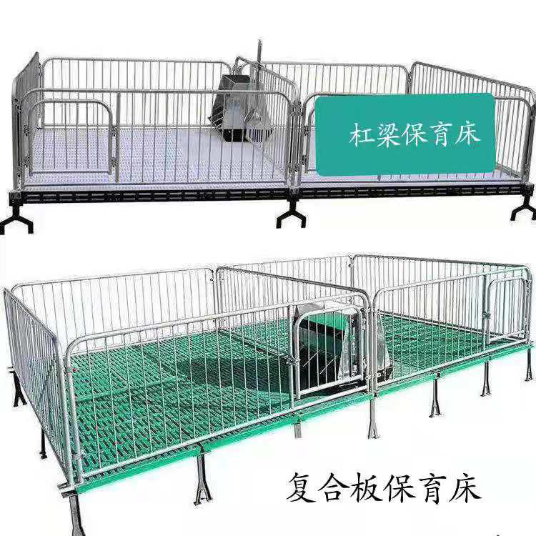 养猪场用复合板保育床 仔猪保育床 加厚小猪保育床 来电报价