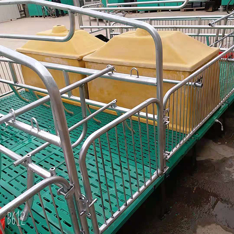 产保一体两用保育床限位栏母猪产床复合漏粪板养殖设备