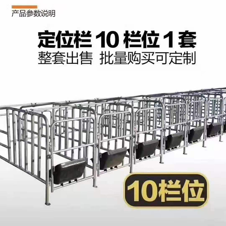 母猪定位栏 落地式母猪定位栏 猪舍限位栏 质量放心