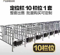 母猪定位栏 落地式母猪定位栏 猪舍限位栏 质量放心