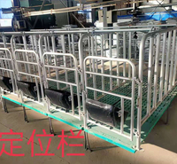猪场围栏 猪舍定位栏 猪舍限位栏 支持定制