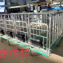 猪场围栏 猪舍定位栏 猪舍限位栏 支持定制