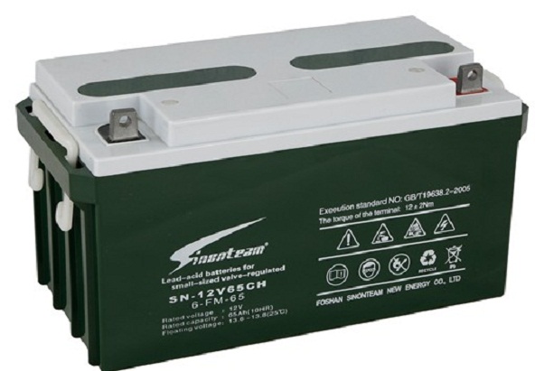 德国赛能蓄电池SN-12V65CH 12V65AH 监控通讯UPS电源阀控铅酸现货