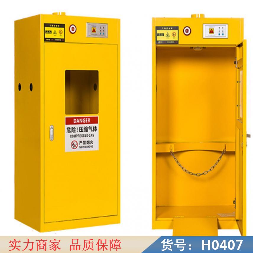 朵麦全钢气瓶柜 橱柜气瓶柜 带报警气瓶柜货号H0407
