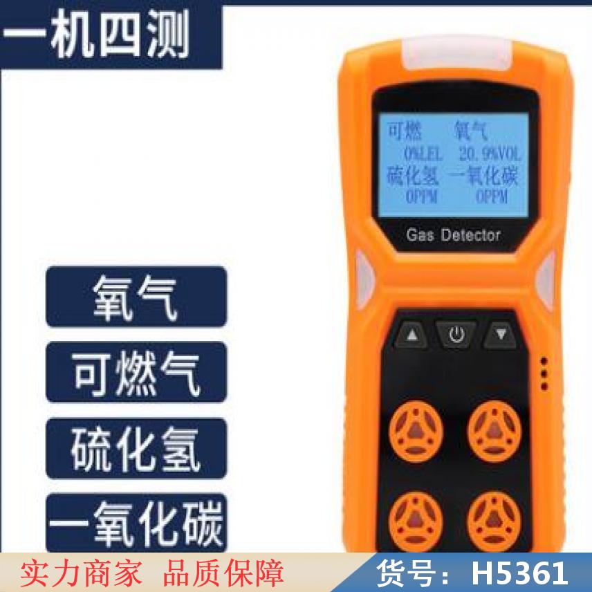 朵麦气体检测仪 h2s气体检测仪 便捷式气体检测仪货号H5361