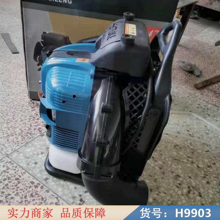 朵麦背是汽油吹风机 吹风枪 dyson吹风机3代货号H9903