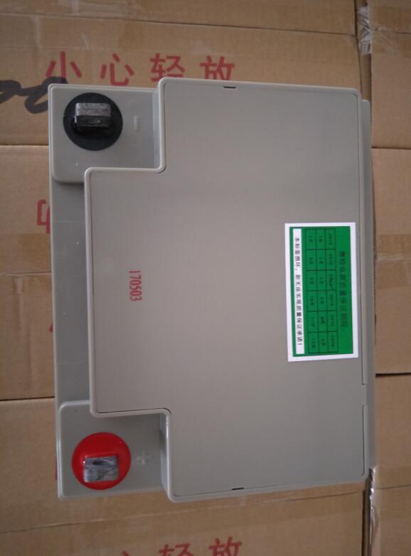 赛特蓄电池BT-HSE-38-12 12V38AH 消防应急电源UPS备用铅酸电池
