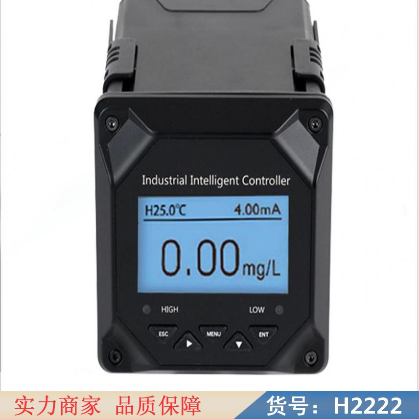 朵麦在线溶氧仪 水产养殖溶氧仪 水产溶氧仪货号H2222