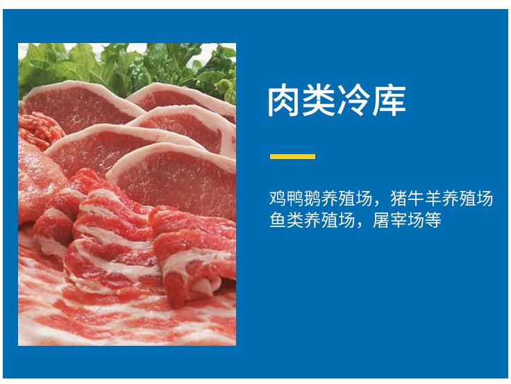 活动拼装式冷库按需定制 钢结构保鲜库设备工厂批发定制