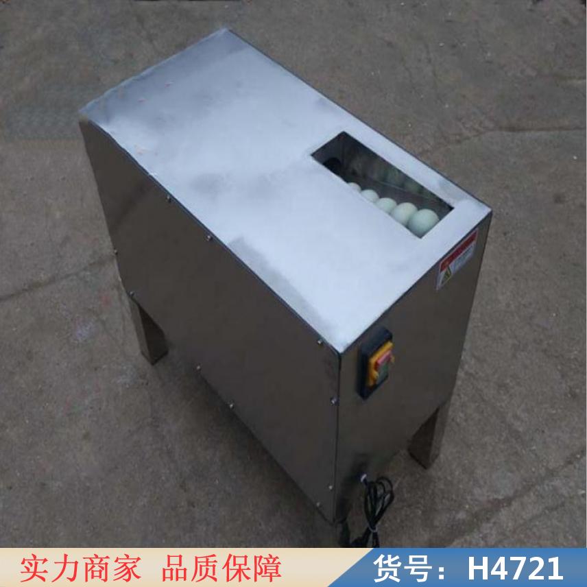 慧采单排洗蛋机 电动洗蛋机 大型自动化洗蛋机货号H4721